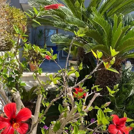 Casa Luisa C/giardino Privato *
