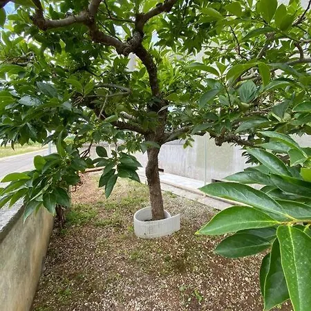 Casa Luisa C/giardino Privato *